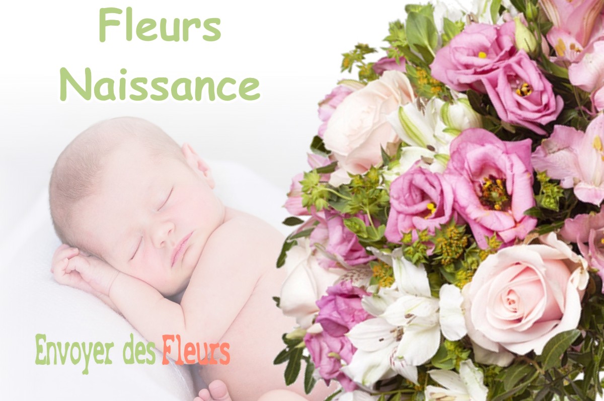 lIVRAISON FLEURS NAISSANCE à VARESSIA